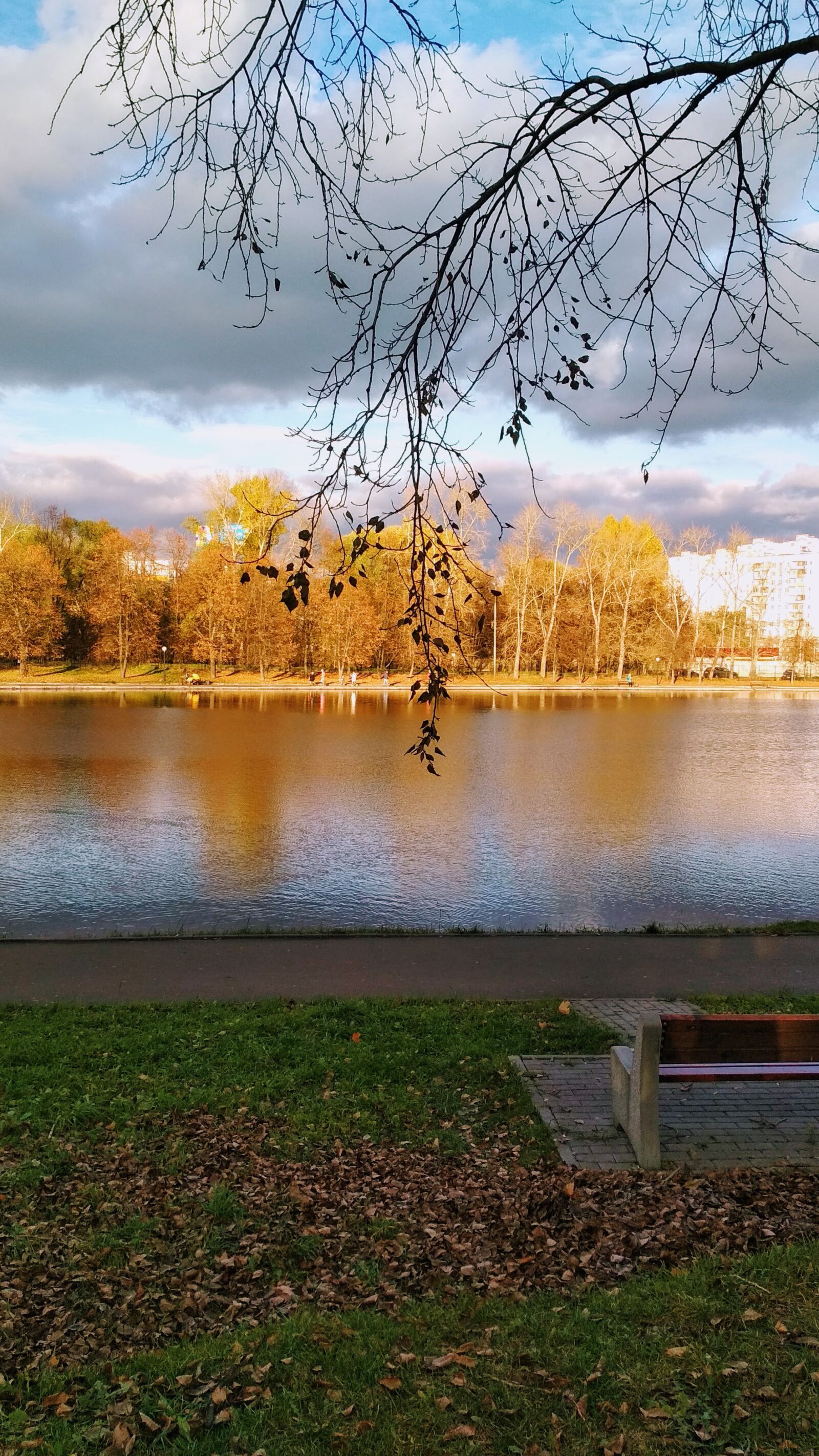 Xiaomi Redmi 4X sample photo. Autumn, orange, halloween photography