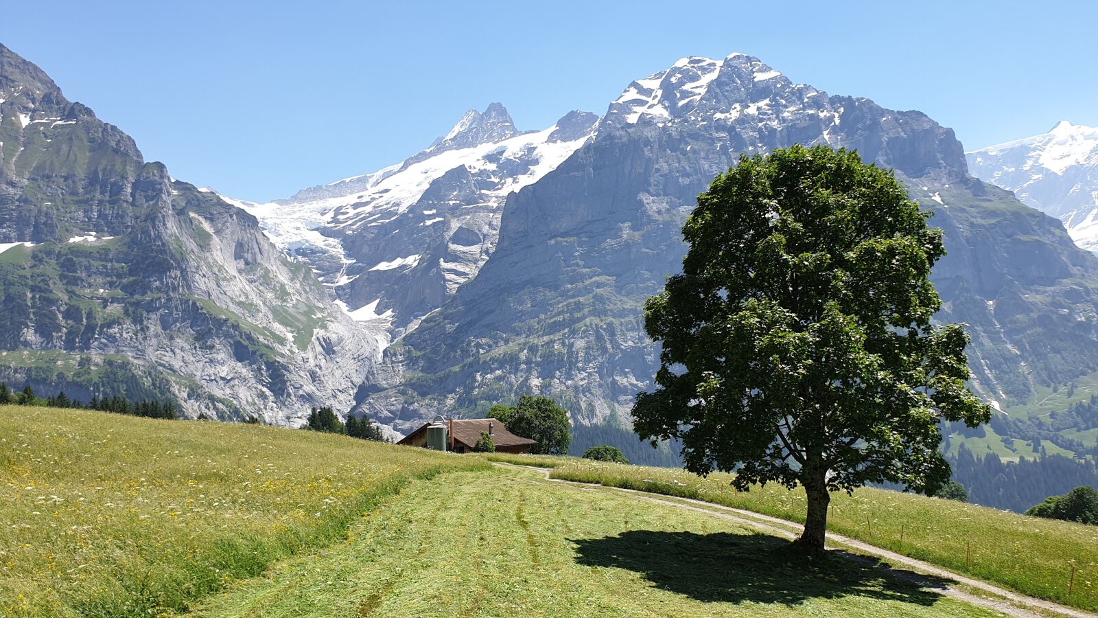 Samsung Galaxy Note9 sample photo. Swiss, switzerland, first photography