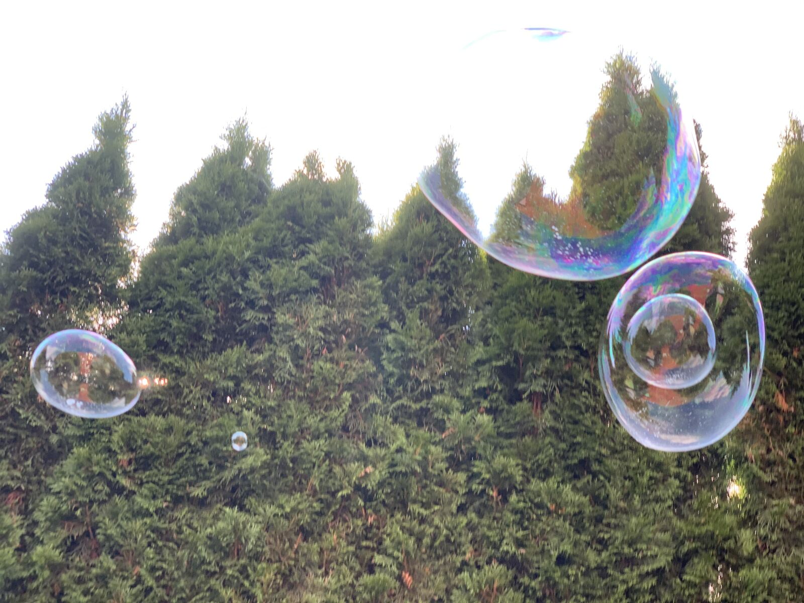 Apple iPhone XS + iPhone XS back dual camera 6mm f/2.4 sample photo. Soap bubble, trees, fantasy photography