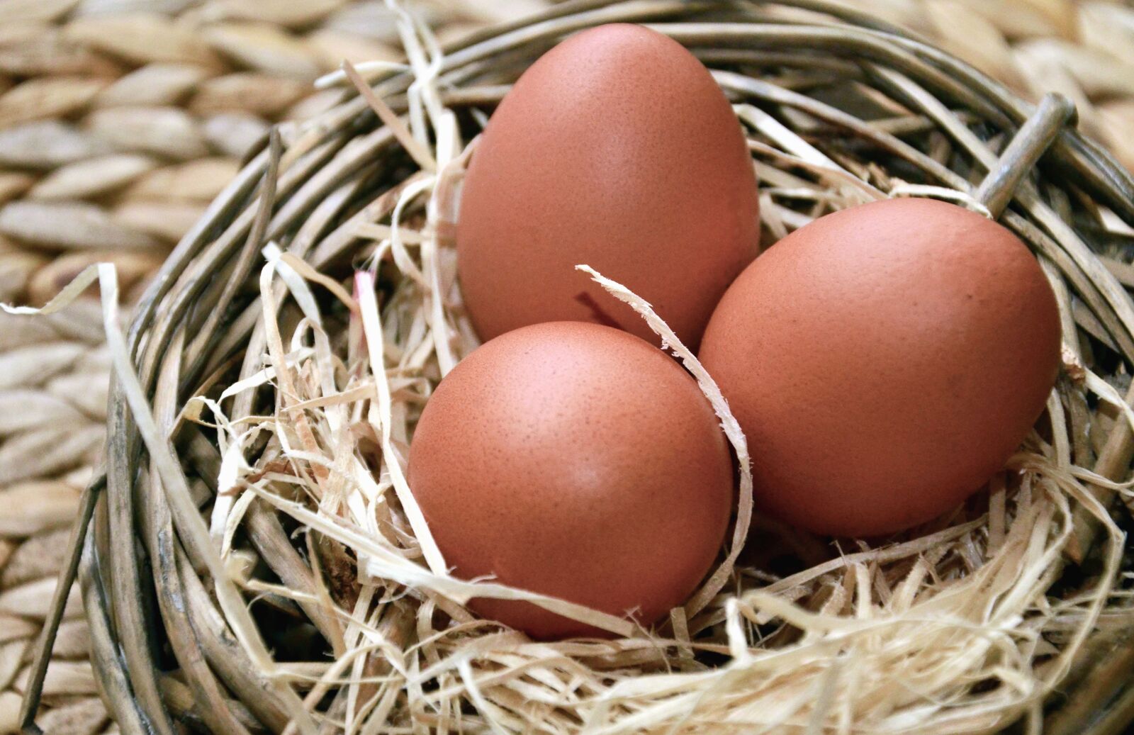 Nikon D5100 sample photo. Egg, easter, nest, chicken photography