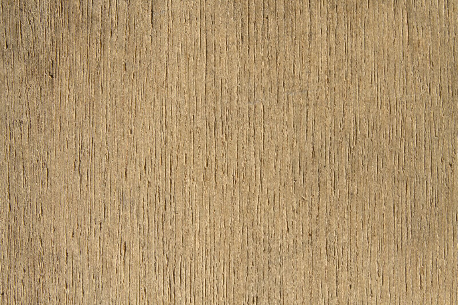 Canon EOS 1100D (EOS Rebel T3 / EOS Kiss X50) sample photo. Texture, vertical, wood photography