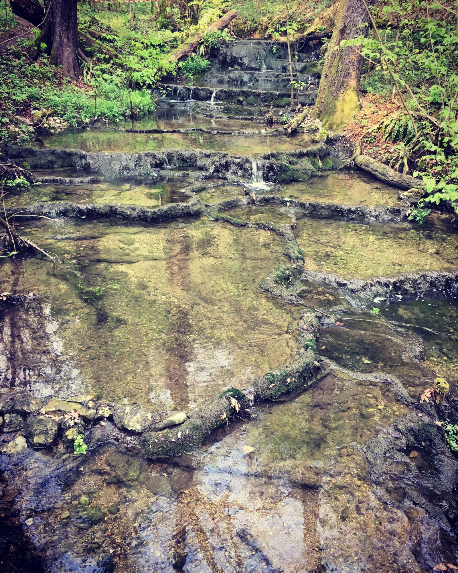 Apple iPhone 6s sample photo. Nature, horrid, inverigo photography