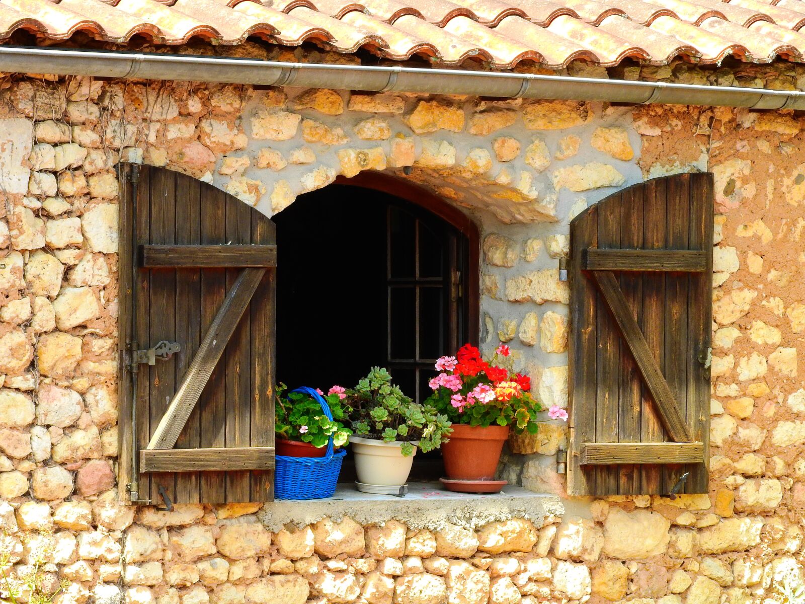 Nikon Coolpix P610 sample photo. Window, flowers, shutters photography