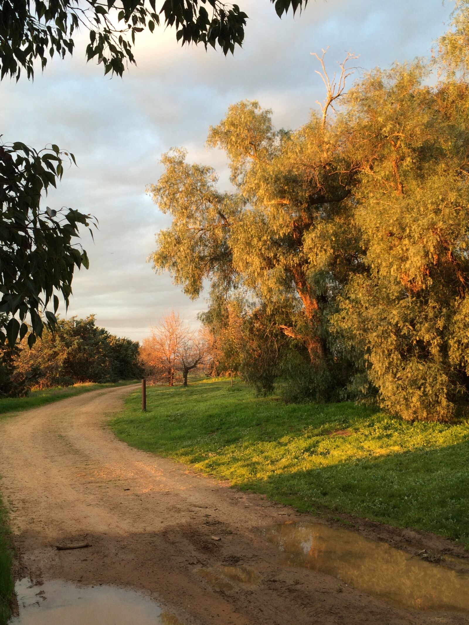 iPhone 5s back camera 4.15mm f/2.2 sample photo. Country road, dirt track photography