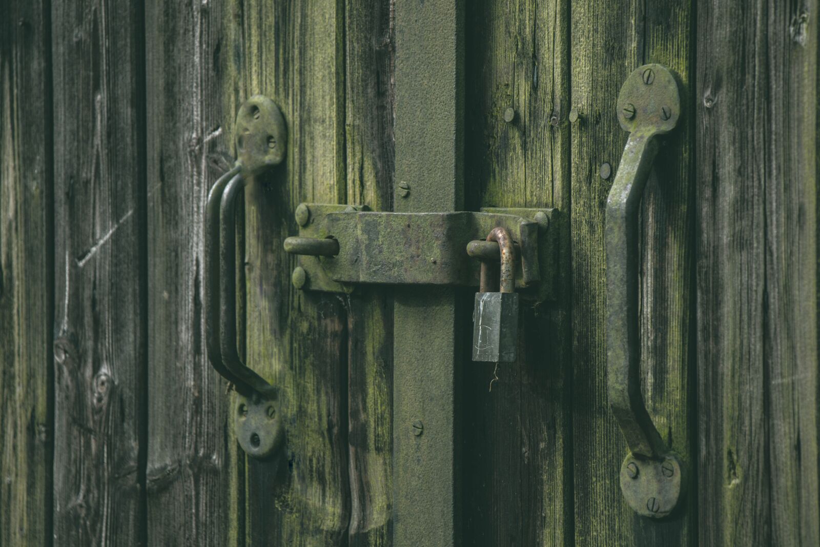 Canon EOS 80D sample photo. Lock, door, safety photography