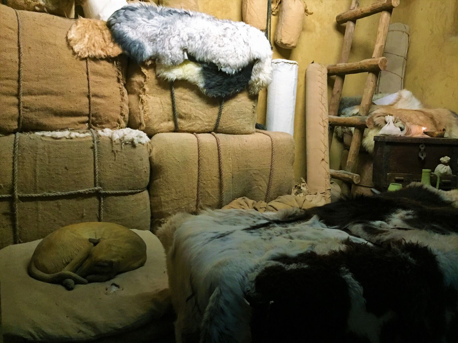 iPhone 6 back camera 4.15mm f/2.2 sample photo. Room, dog, bale photography