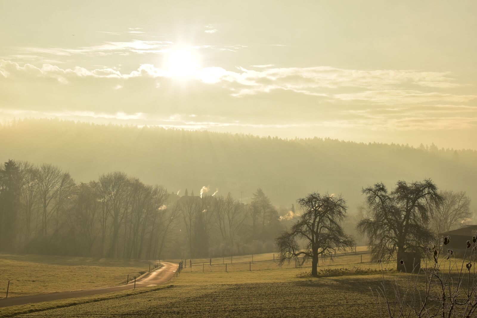Nikon D5500 sample photo. Landscape, fog, morning sun photography