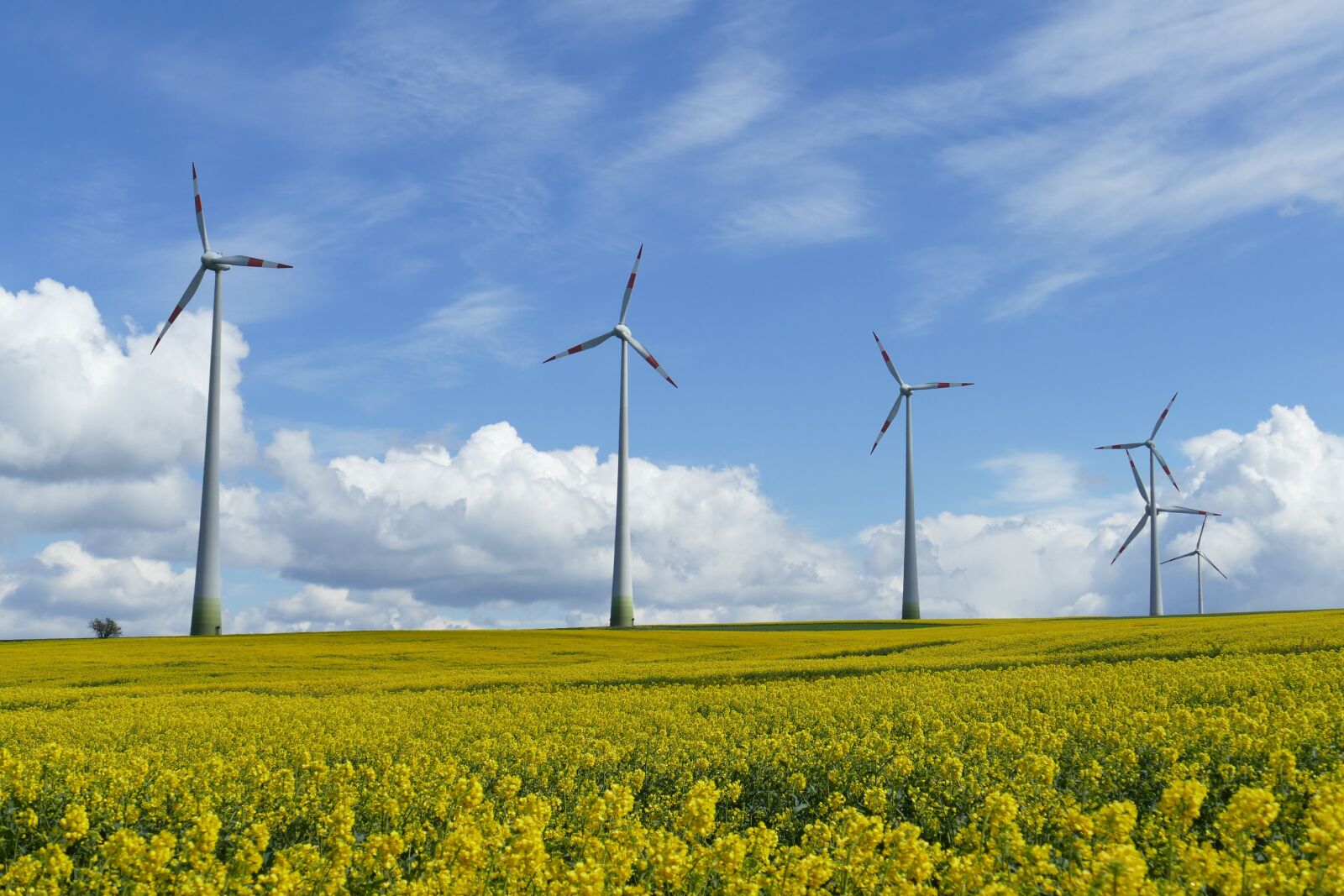 Panasonic Lumix DMC-FZ1000 sample photo. Wind power, landscape, clouds photography