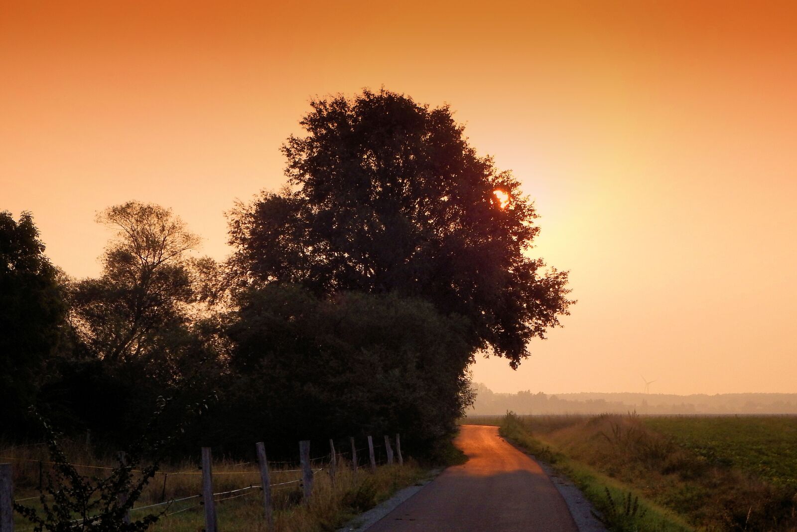 Fujifilm FinePix SL1000 sample photo. Sunrise, haze, fog photography
