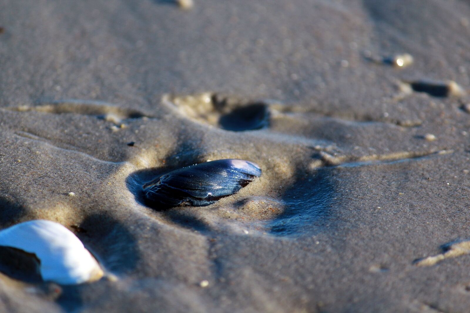 Canon EF-S 55-250mm F4-5.6 IS II sample photo. Sand, beach, vacations photography