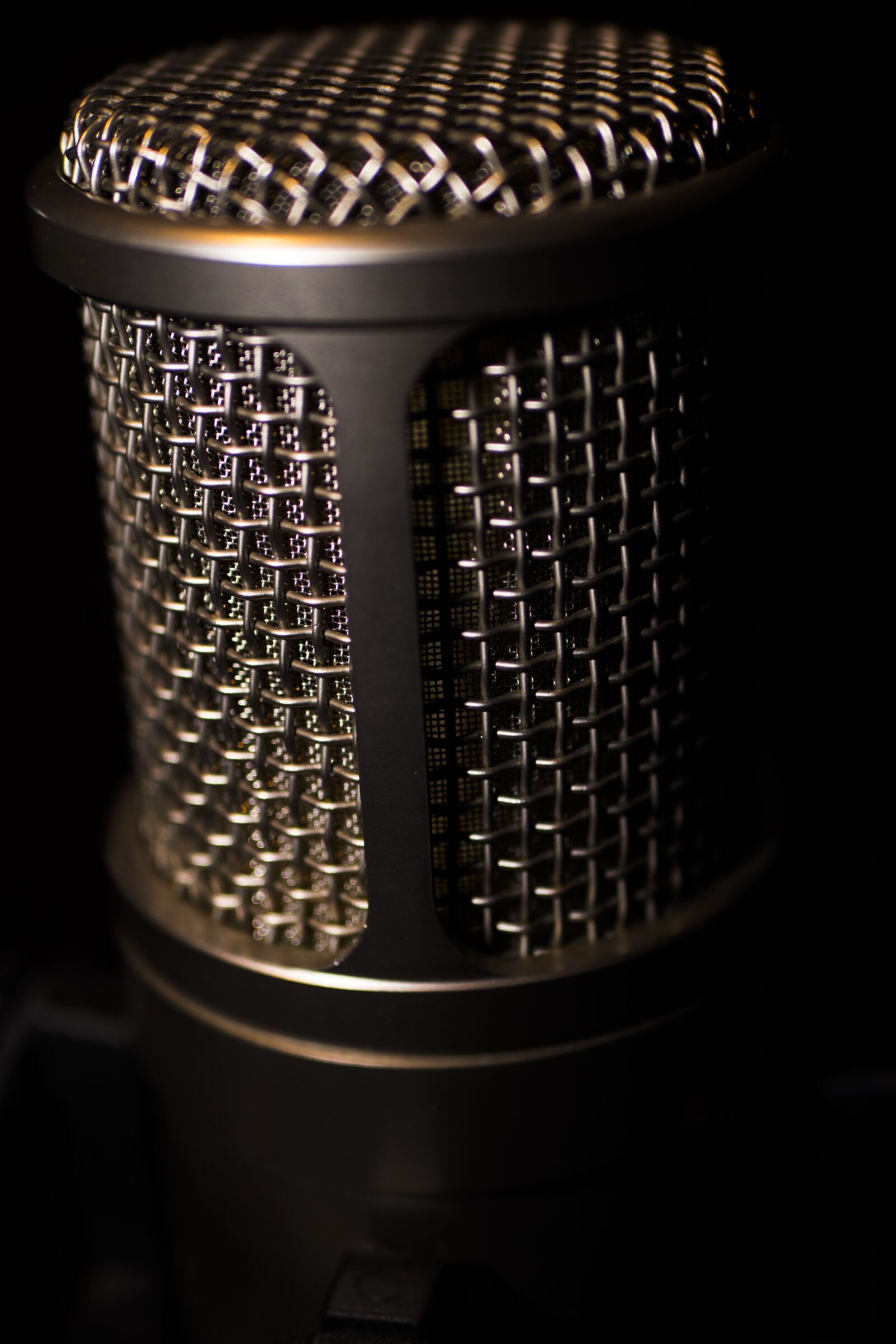 Panasonic Lumix DC-GH5 + LUMIX G 25/F1.7 sample photo. Micro, vocals, song photography
