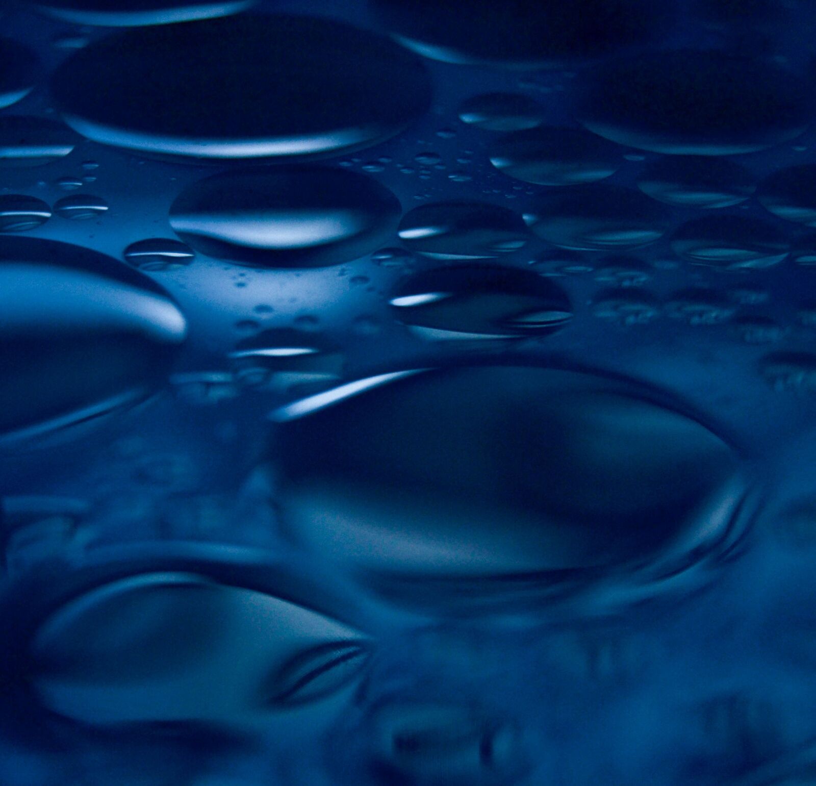 Nikon D3100 sample photo. Liquidity, drop, wet photography