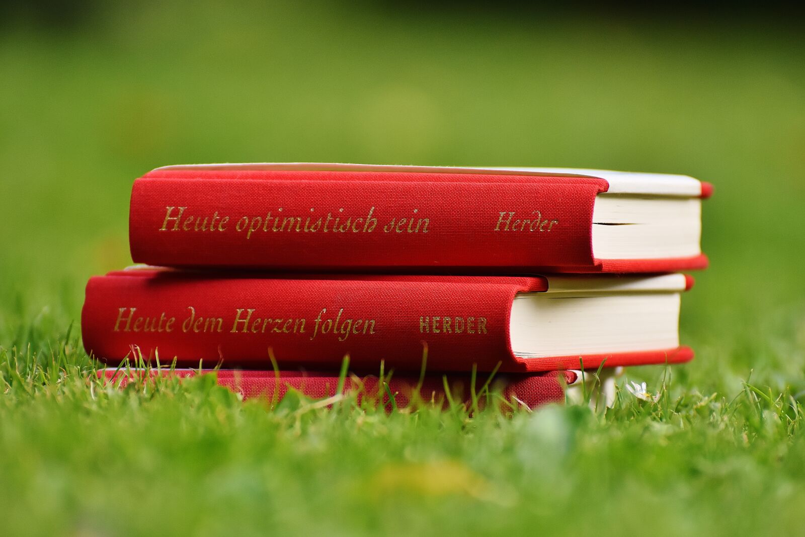 Nikon D7200 sample photo. Books, motivation, optimism photography