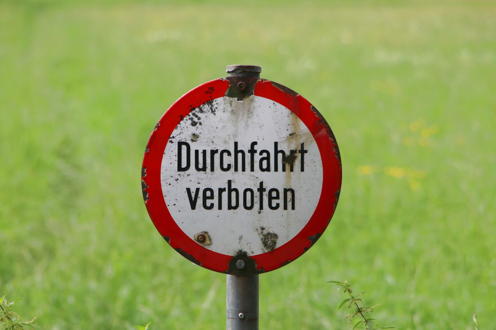 Canon EOS 70D sample photo. Shield, ban, prohibited photography