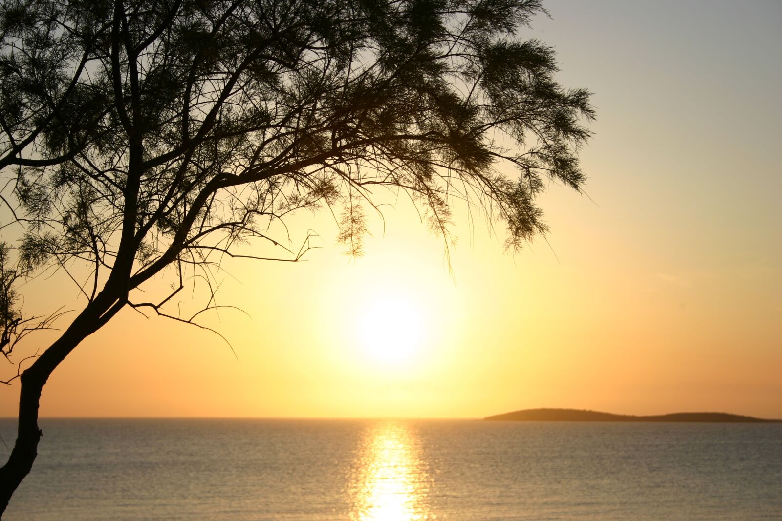 Canon EOS 300D (EOS Digital Rebel / EOS Kiss Digital) sample photo. Sunset, tree, sea photography