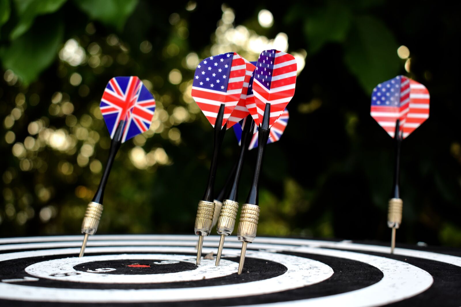 Nikon D5300 sample photo. White, darts, diana photography