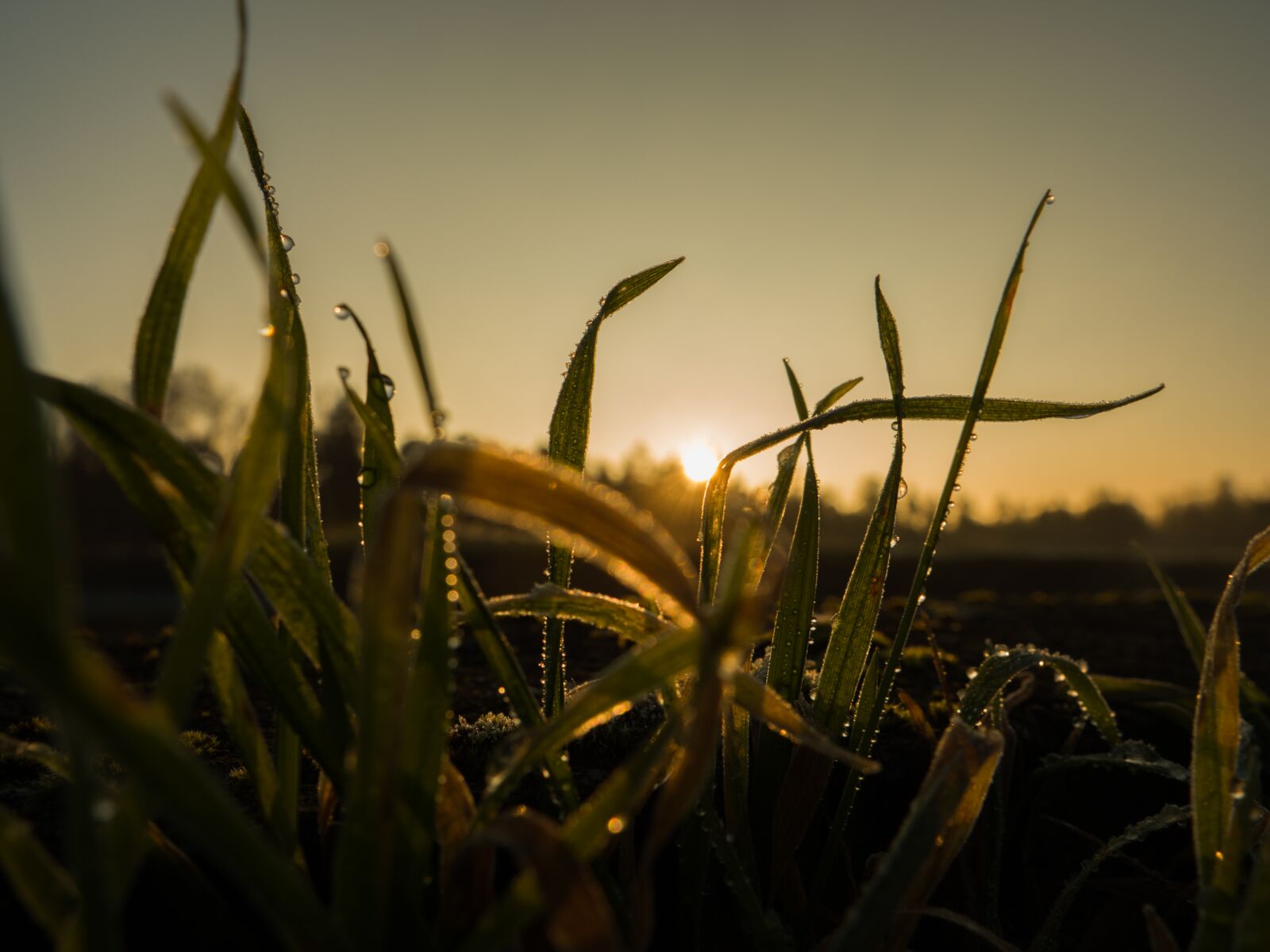 LEICA DG 12-60/F2.8-4.0 sample photo. Sunrise, winter, landscape photography