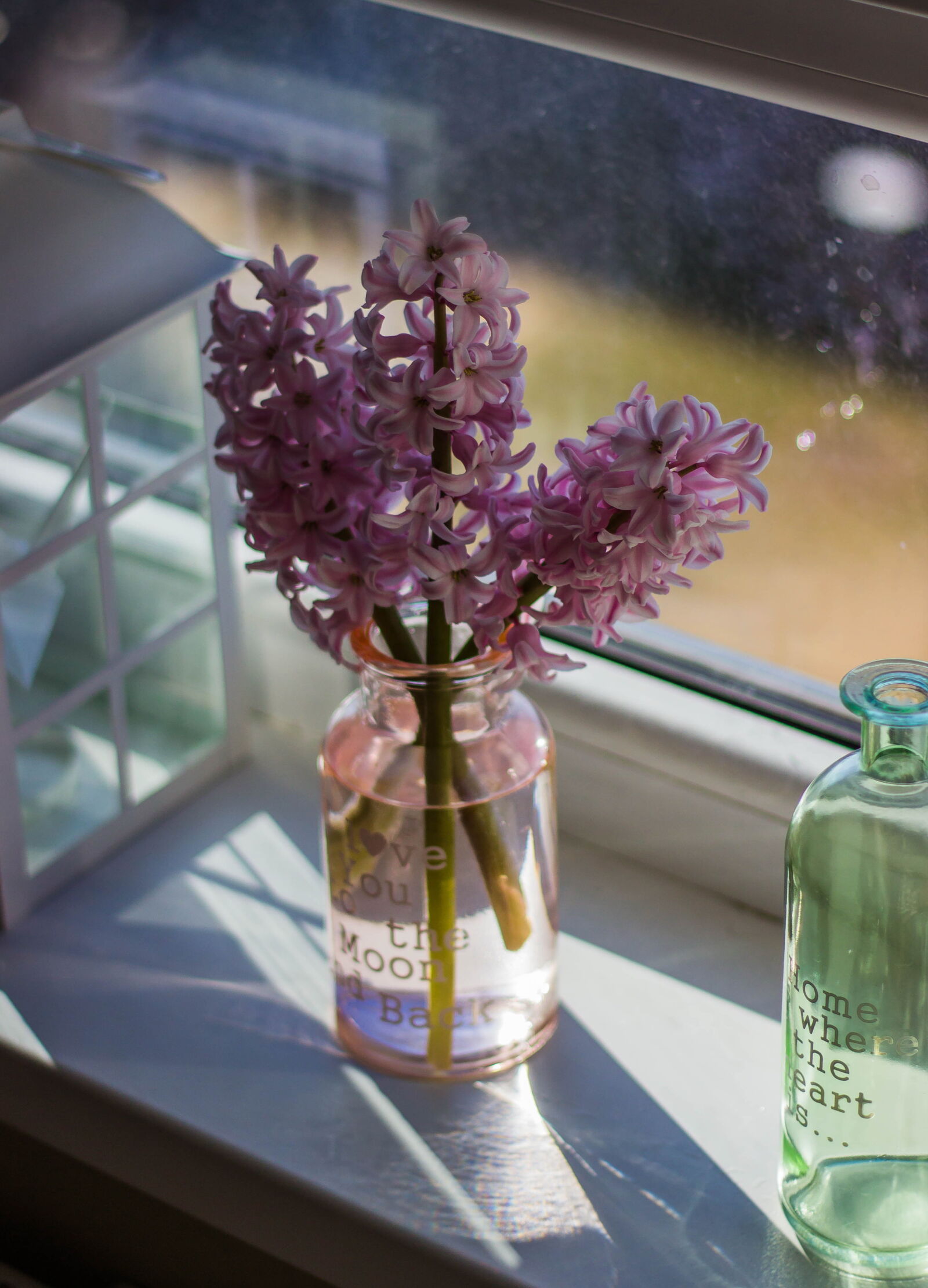 Canon EF 50mm F1.8 II sample photo. Bottle, close, up, colors photography