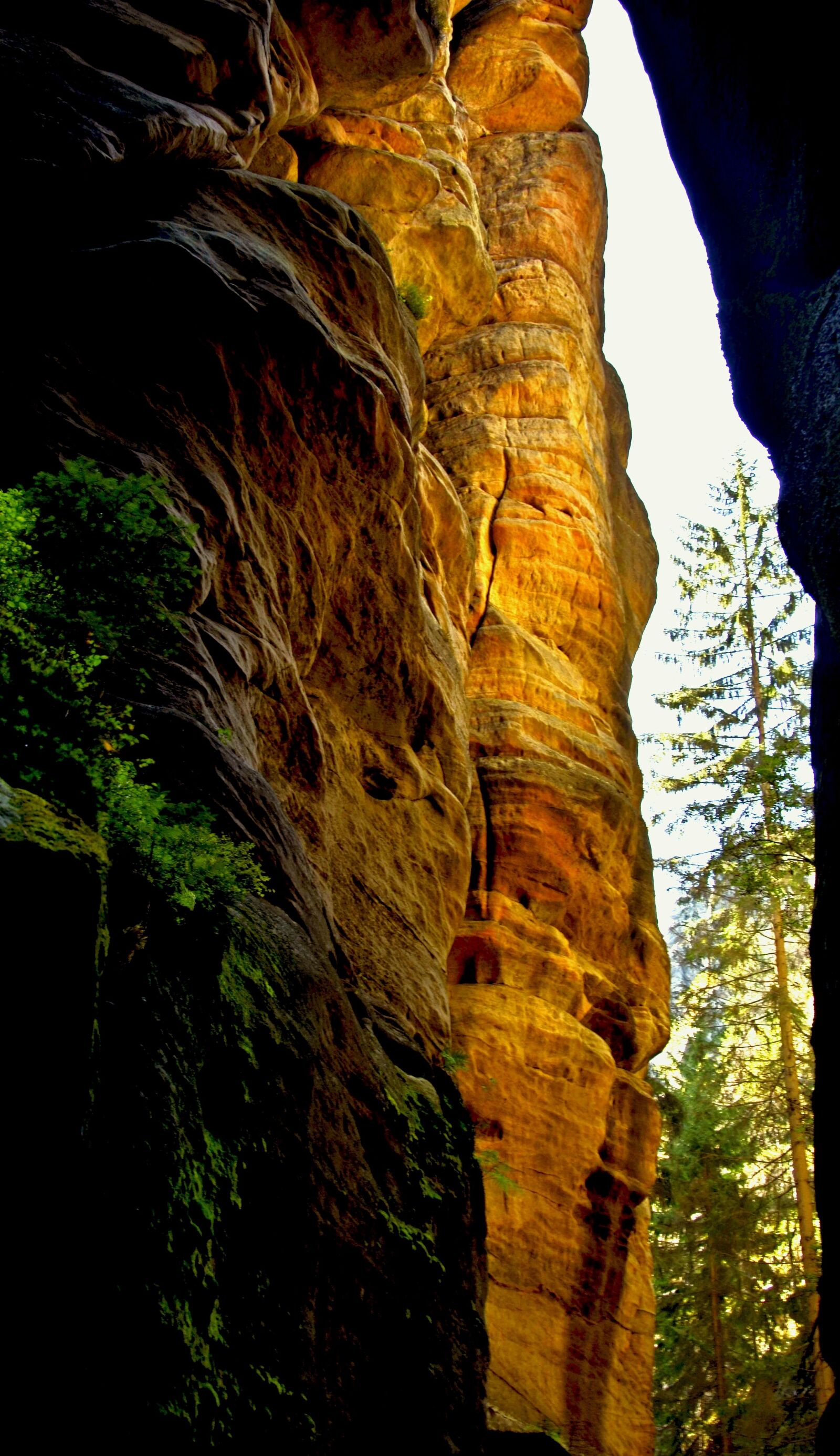Nikon D5100 sample photo. Czech republic, greenhouse, rock photography