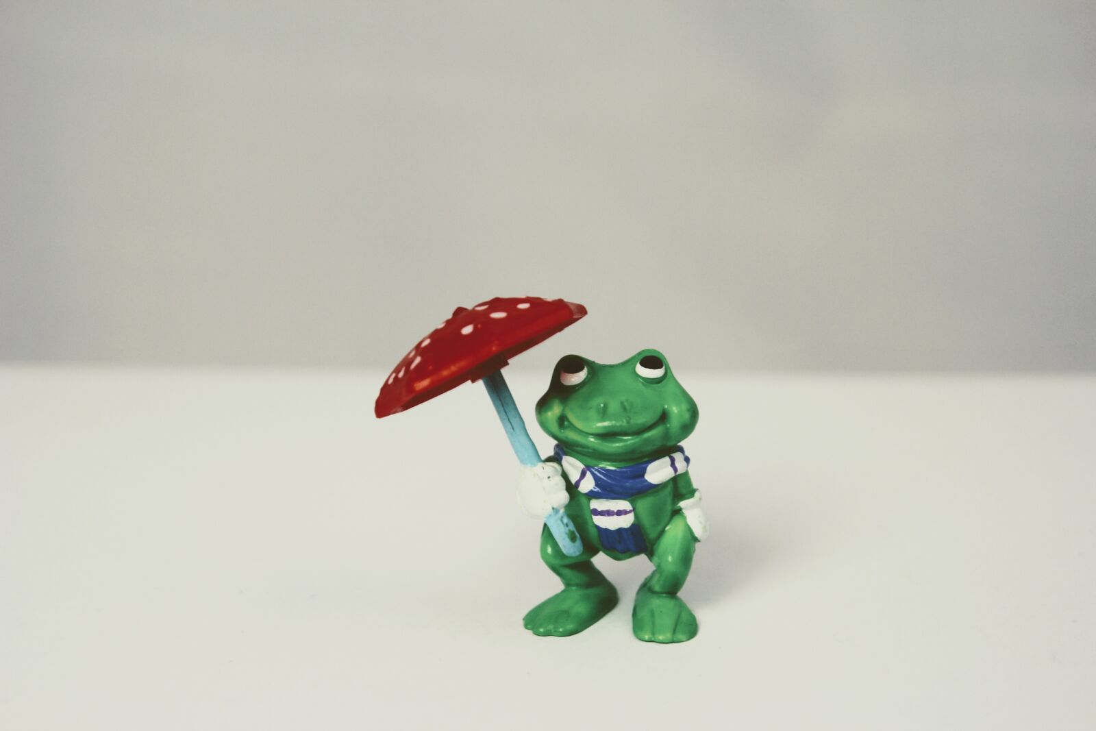 Canon EOS 60D sample photo. Weatherman, green, frog photography