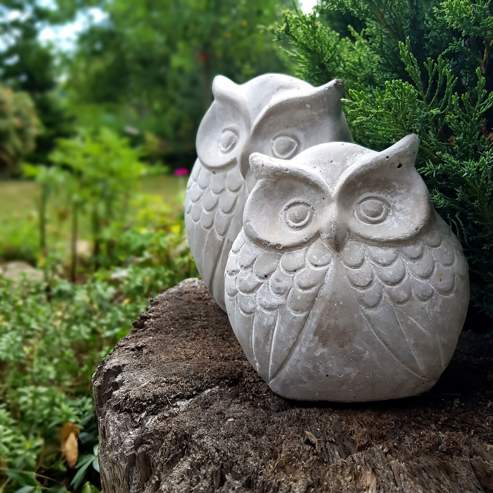 Samsung Galaxy S8 sample photo. Decoration, owls, owl photography