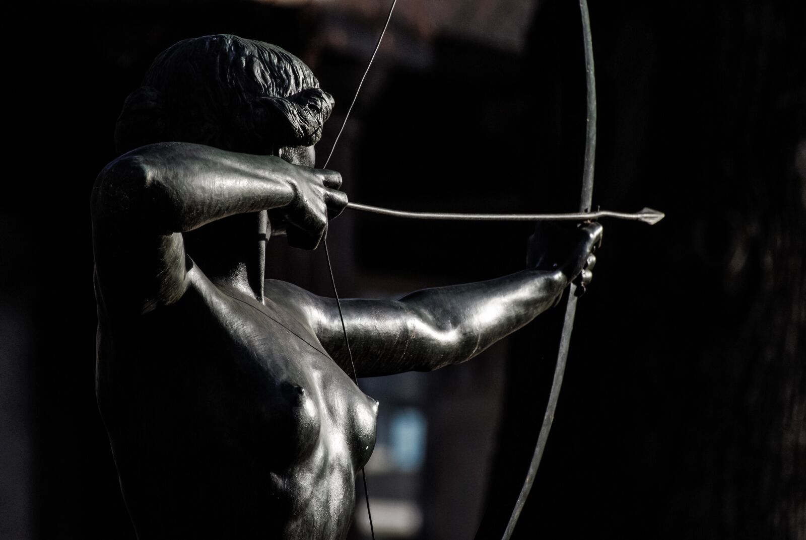 Pentax K-30 sample photo. Archery, sculpture, bow and photography