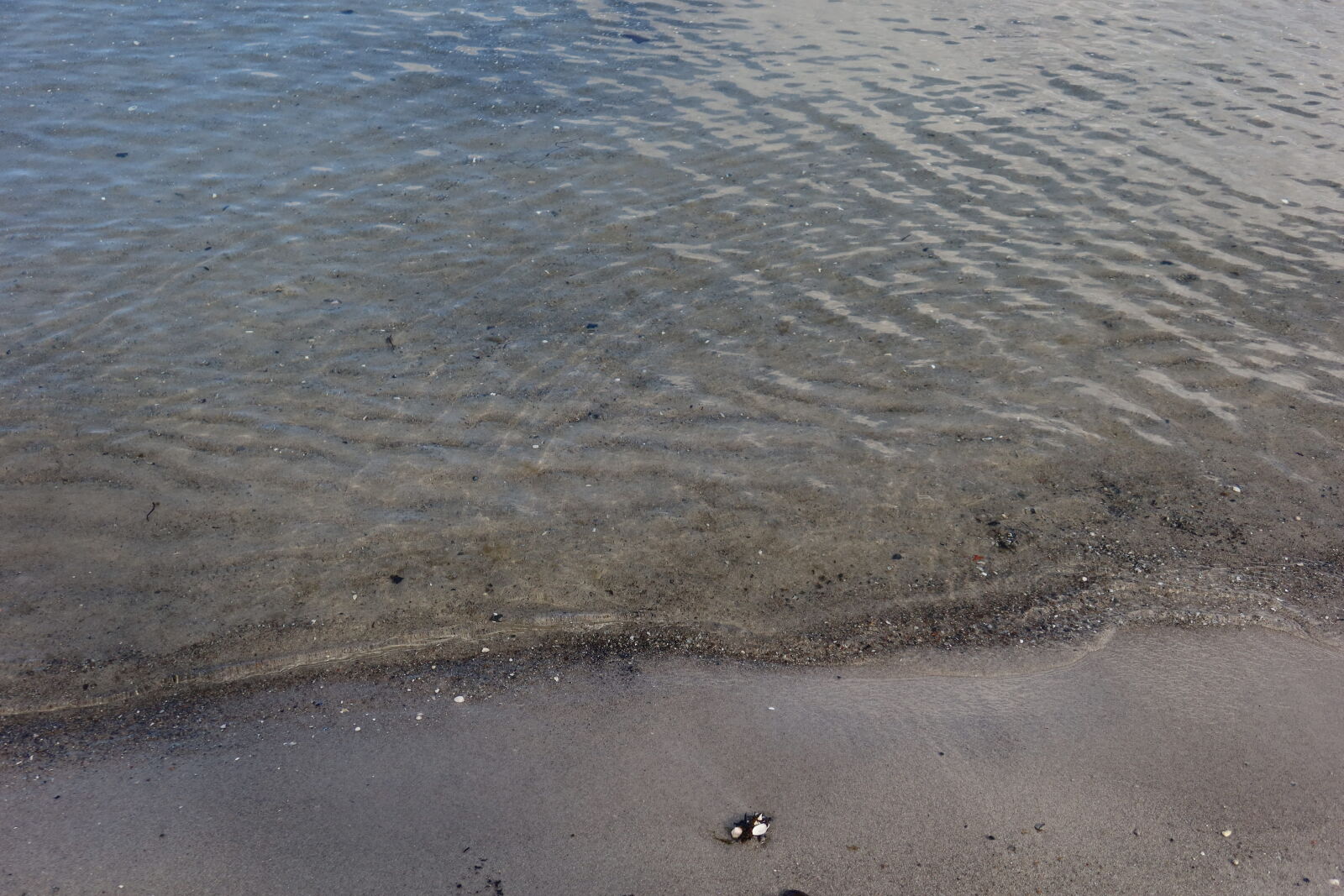 Canon PowerShot G7 X Mark III sample photo