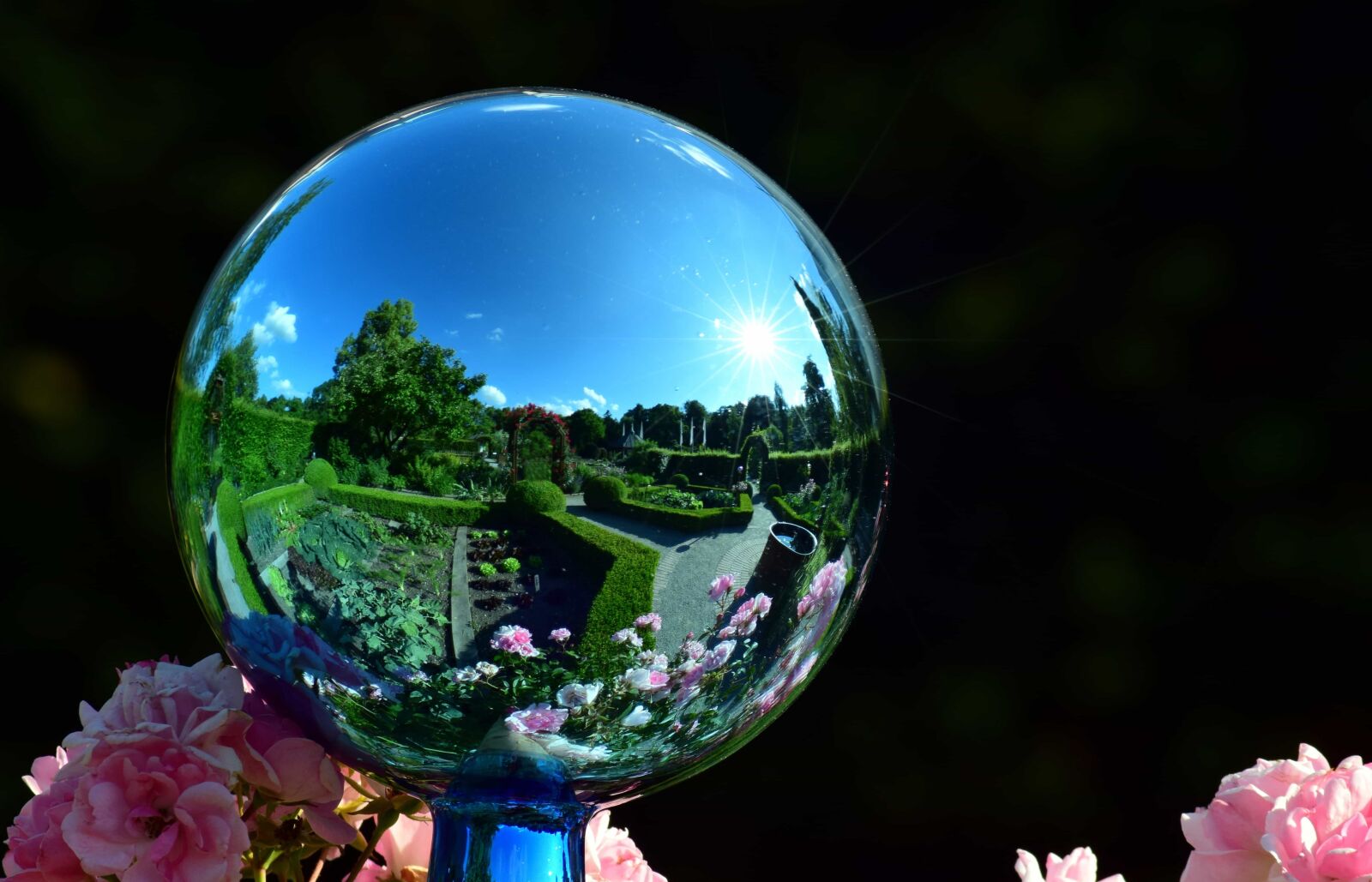 Nikon D3300 sample photo. Flower, glass, outdoor, ball photography