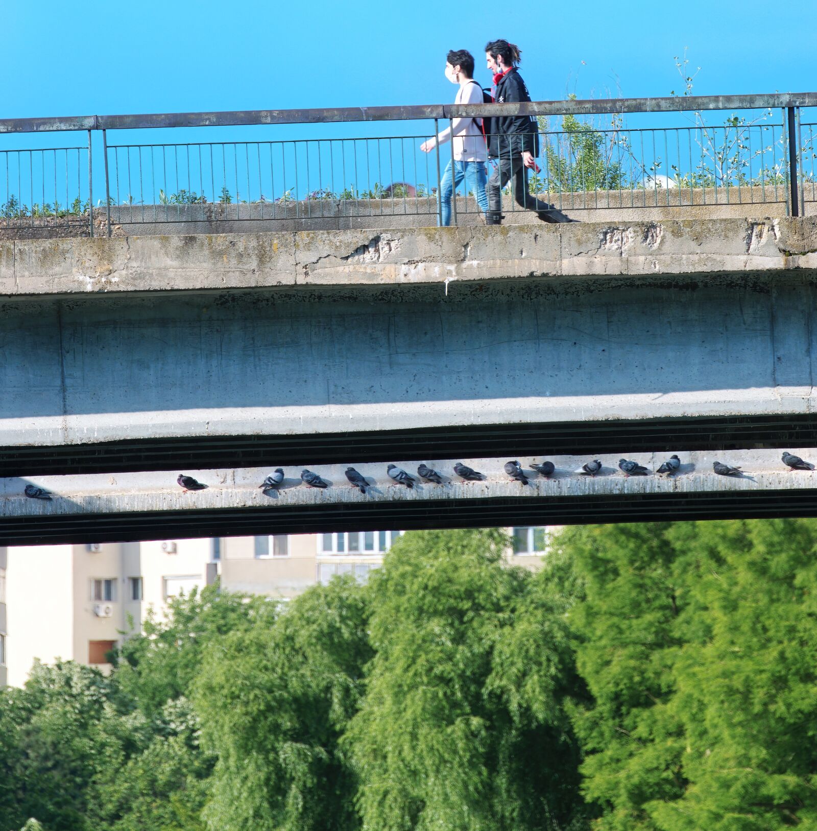 Nikon D5300 sample photo. People, going, descending photography