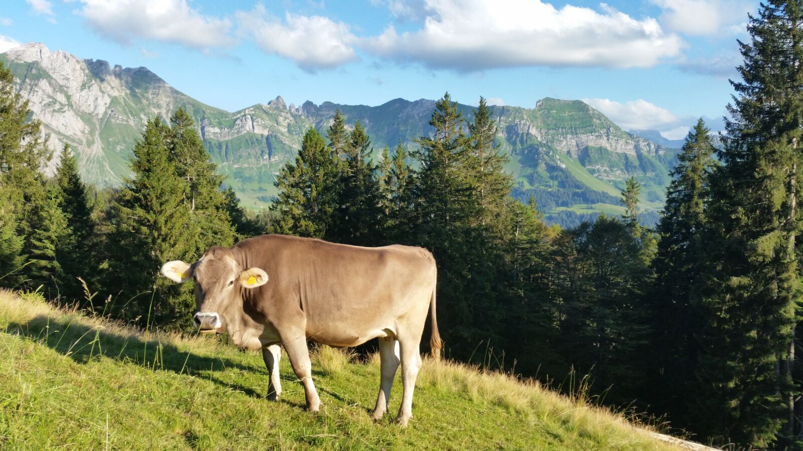 Samsung Galaxy S5 sample photo. Säntis, mountains, alpine photography