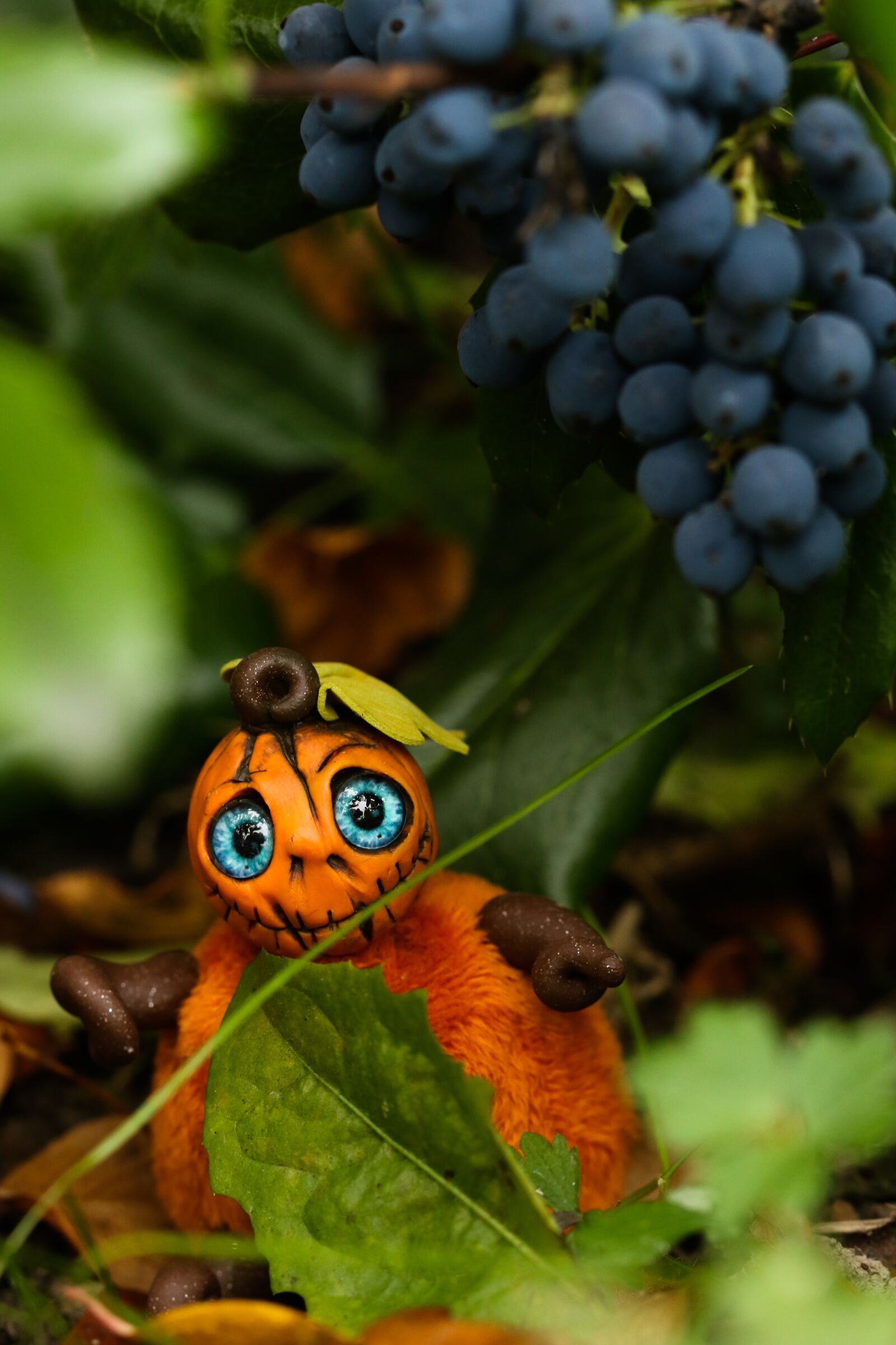Canon EOS 7D Mark II sample photo. Figure, halloween, berry photography