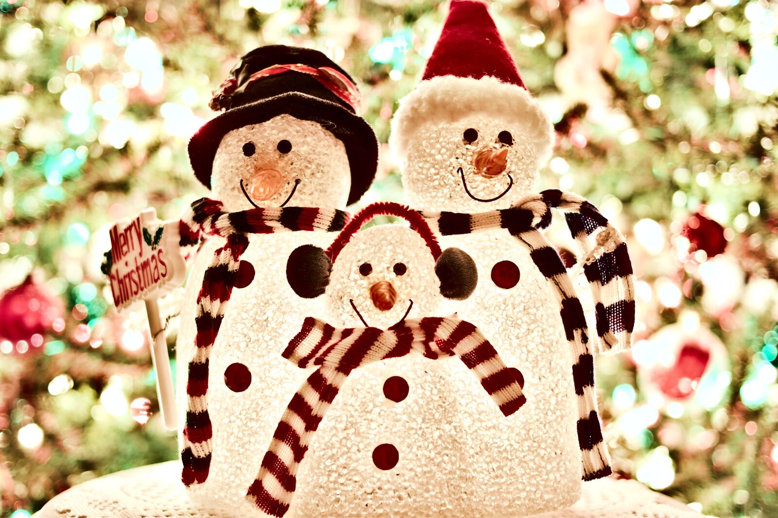 Canon EOS 77D (EOS 9000D / EOS 770D) sample photo. Traditional, decoration, christmas photography