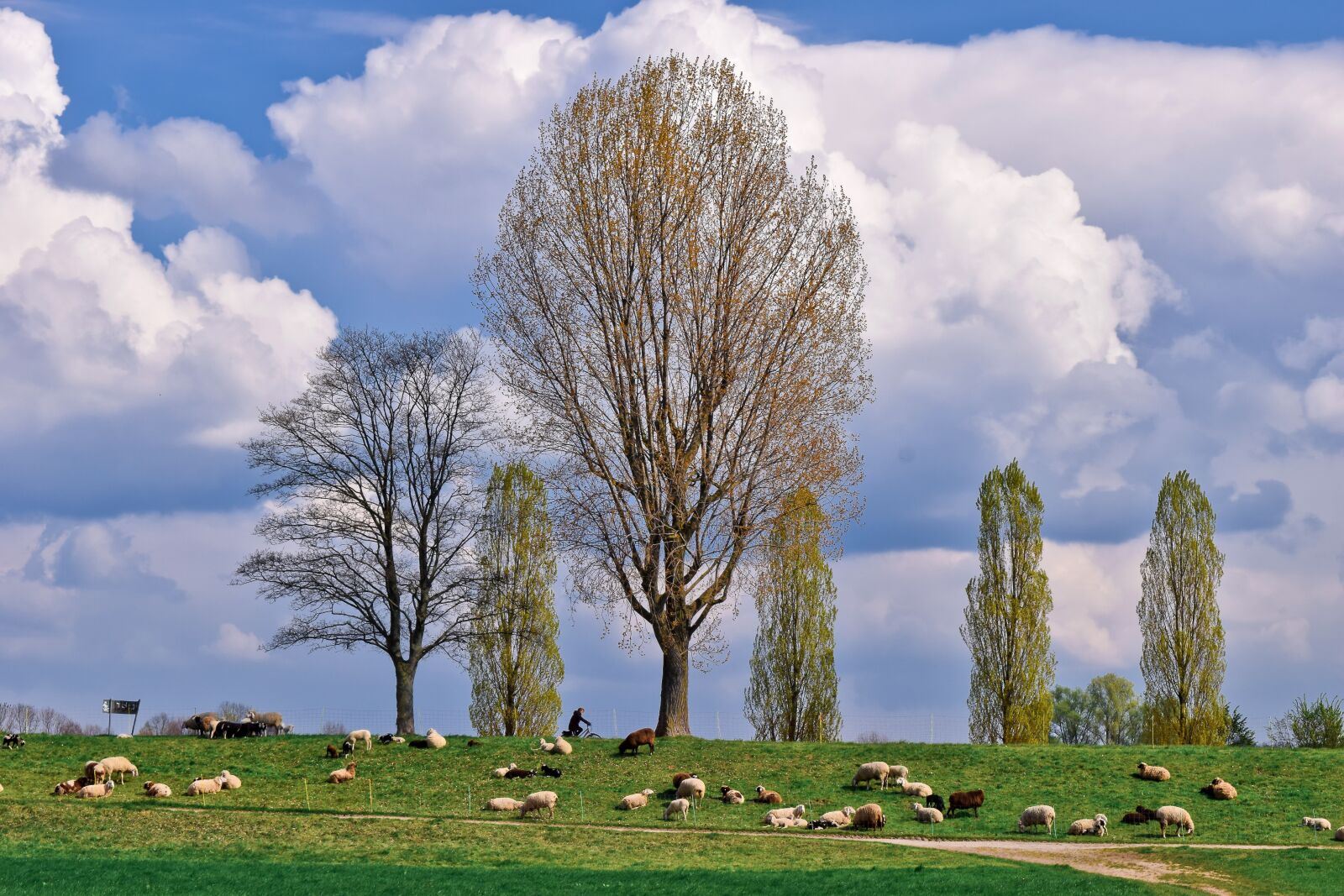 Nikon D3300 sample photo. Landscape, auen, nature photography