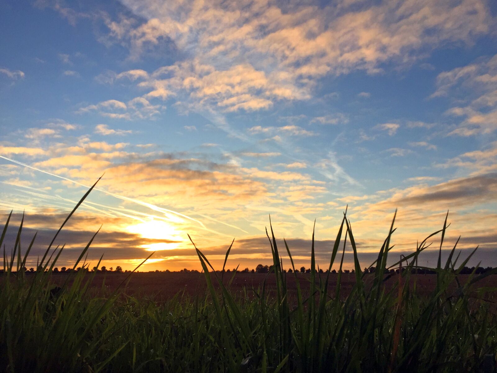 iPhone 6 back camera 4.15mm f/2.2 sample photo. Big sky, landscape, the photography