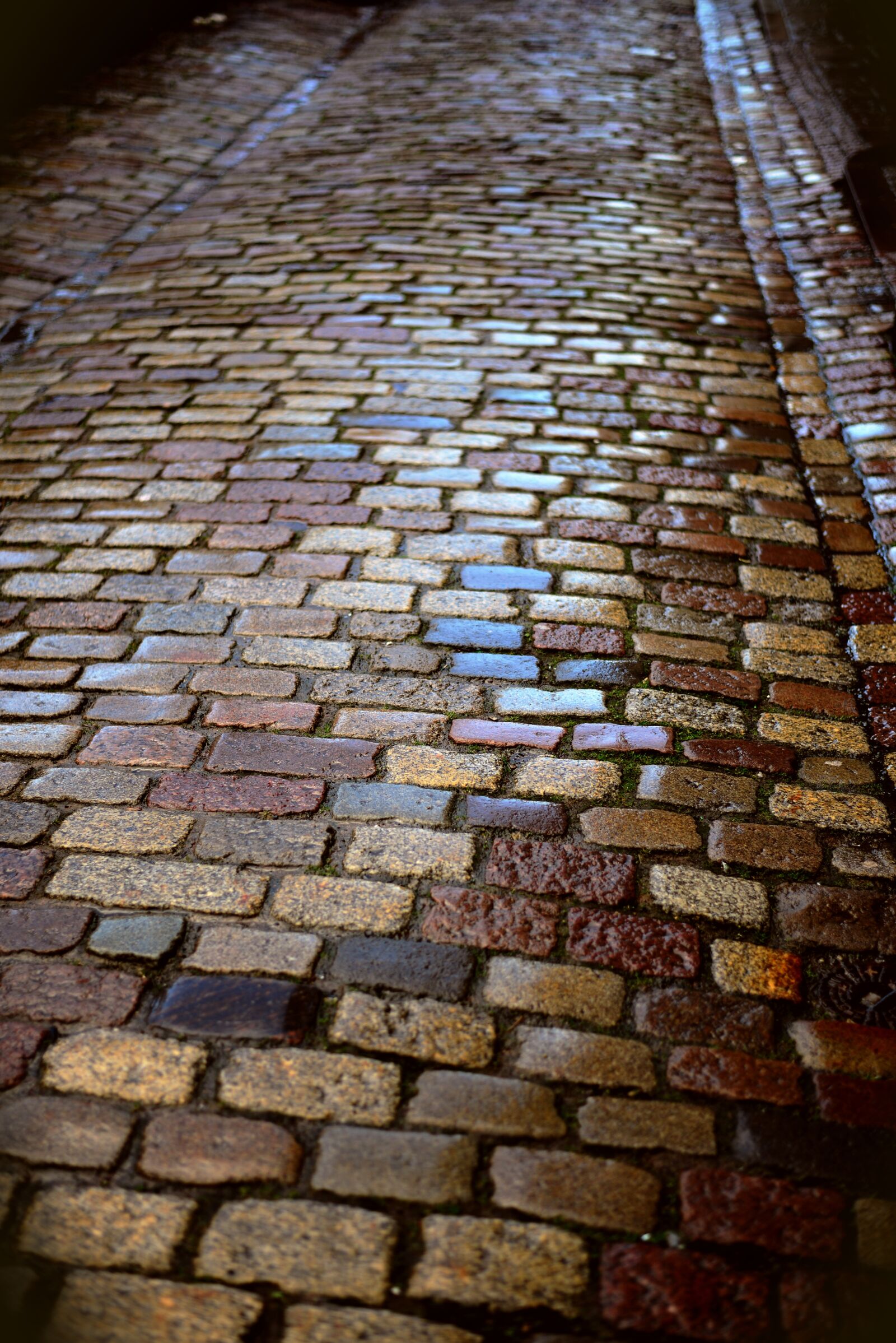 Nikon D610 sample photo. Patch, road, wet photography