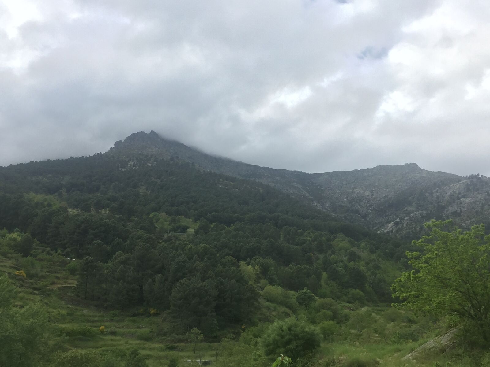 Apple iPhone 6 sample photo. Mount, sierra, nature photography