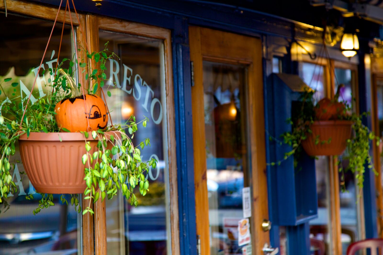 Canon EOS 6D + Canon EF 24-105mm F4L IS USM sample photo. Pumpkin, halloween, fall photography