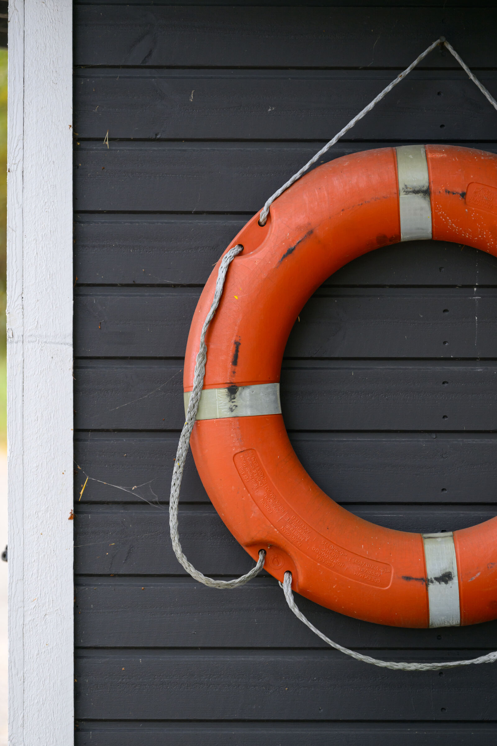 Nikon Z8 sample photo. Lifebuoy cottage photography