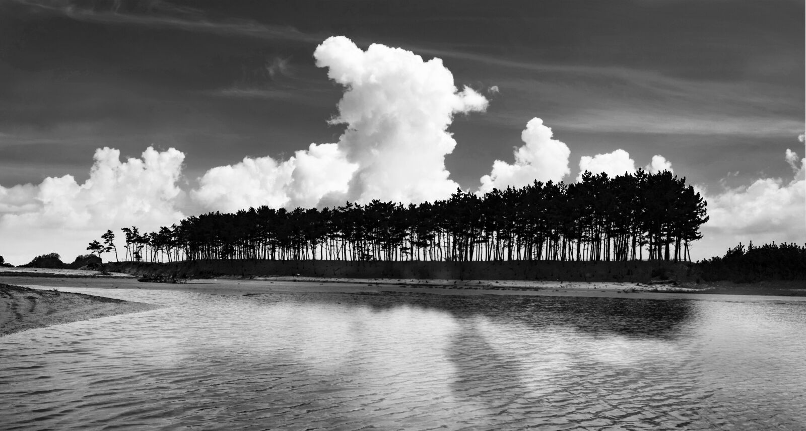 Canon EF 16-35mm F4L IS USM sample photo. Pine, cloud, island photography