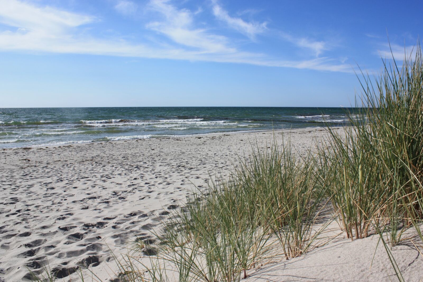 Canon EOS 450D (EOS Rebel XSi / EOS Kiss X2) sample photo. Hiddensee, marram grass, landscape photography