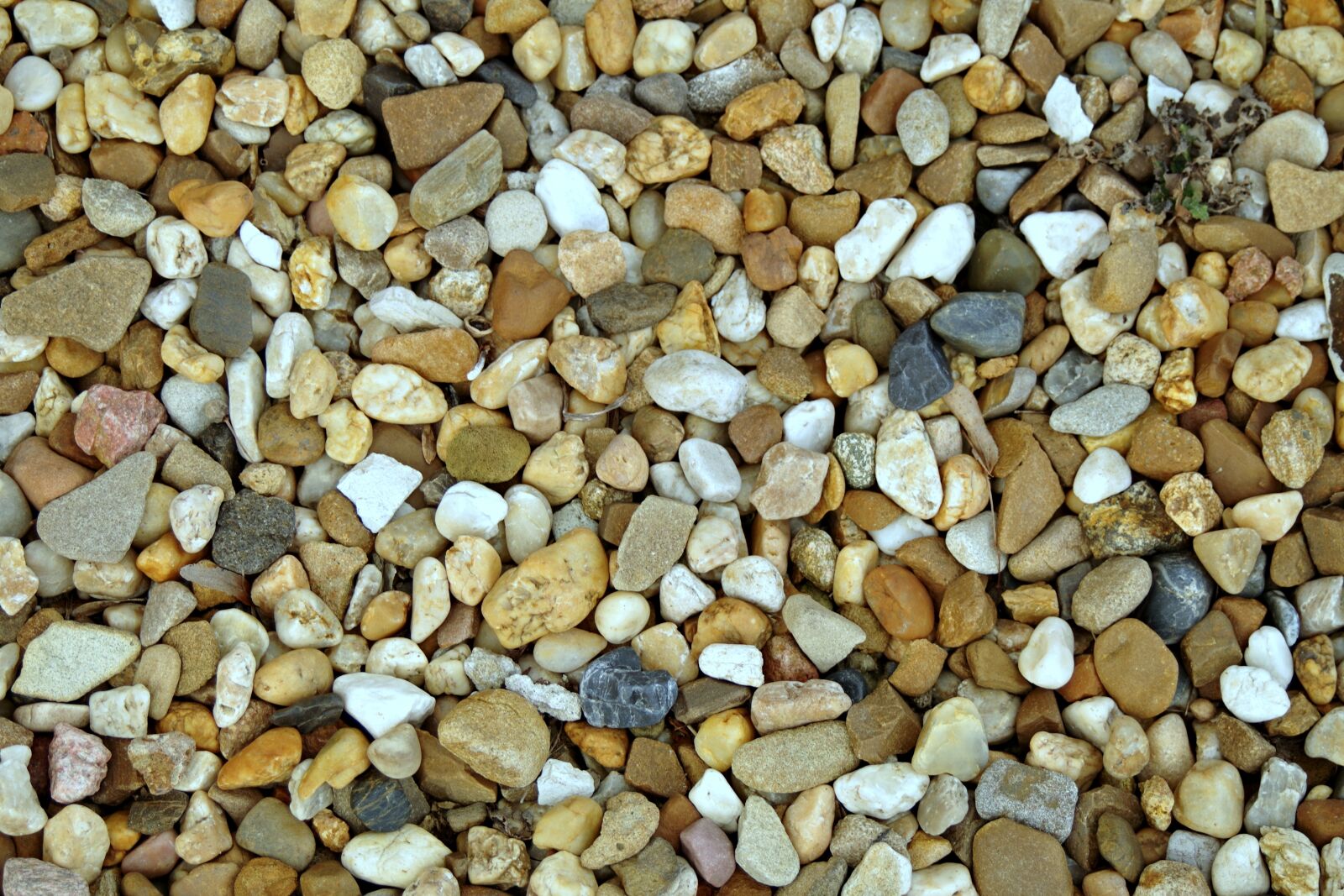 Pentax K-S2 sample photo. Pebbles, model, texture photography