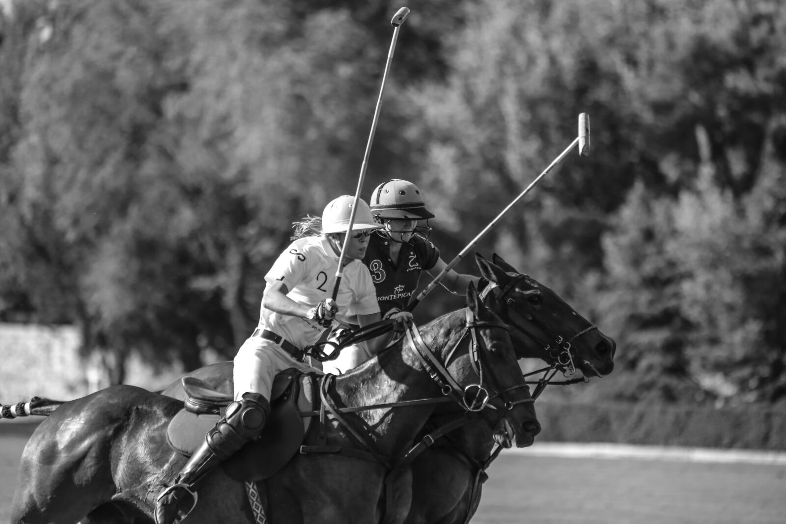 Canon EOS 6D sample photo. Horse, horses, polo photography