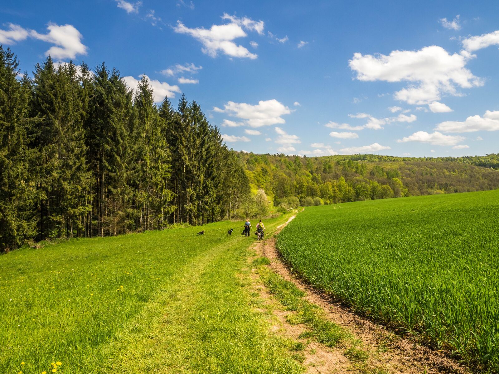 Olympus OM-D E-M1 + OLYMPUS M.12-50mm F3.5-6.3 sample photo. Landscape, spring, hiking photography