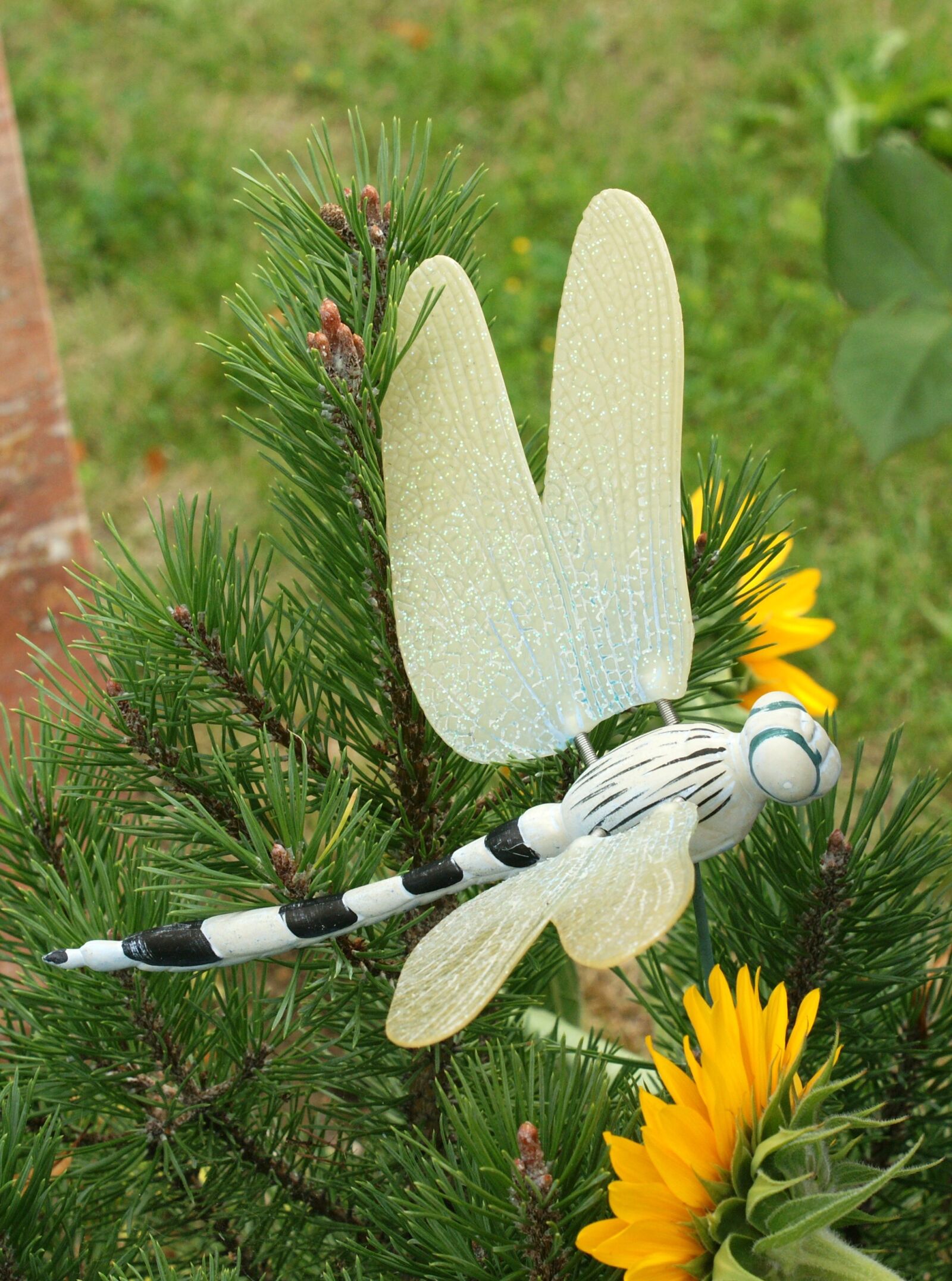 Sony Alpha DSLR-A700 sample photo. Dragonfly, contemplative, cemetery photography