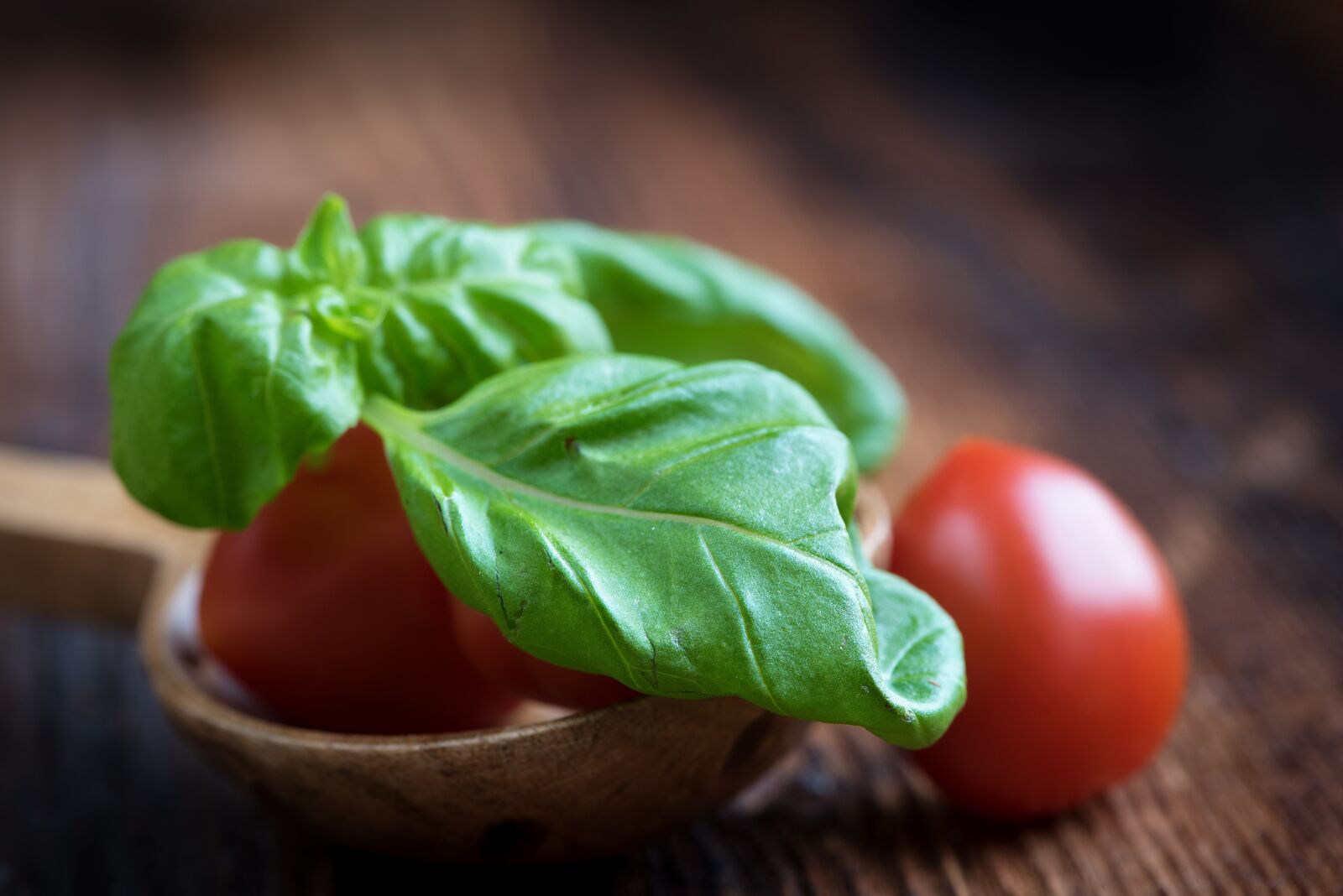 Nikon D750 sample photo. Basil, green, spice photography