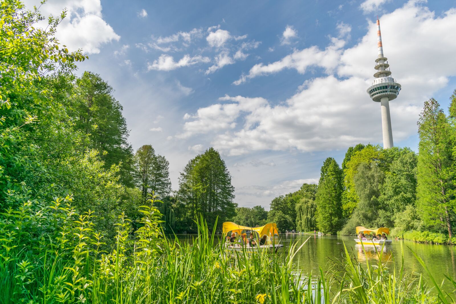 Nikon D5300 sample photo. Luisenpark, park, mannheim photography