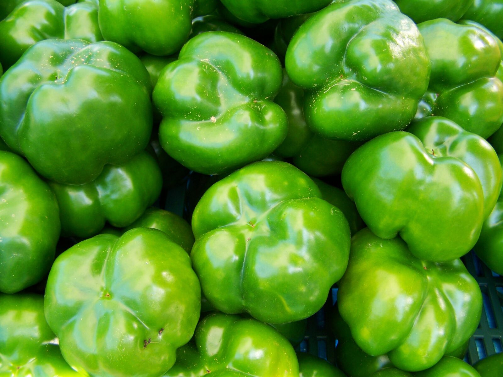 Kodak EASYSHARE ZD710 ZOOM DIGITAL CAMERA sample photo. Pepper, green, vegetables photography