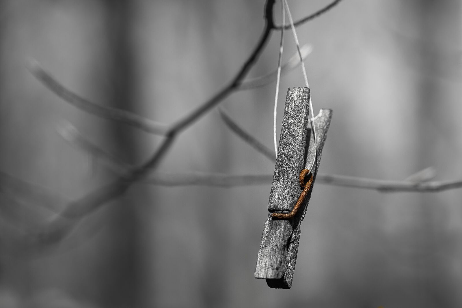 Canon EOS RP sample photo. Old, clothes peg, hang photography