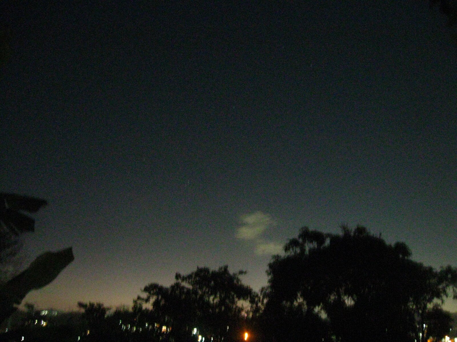 Canon PowerShot A590 IS sample photo