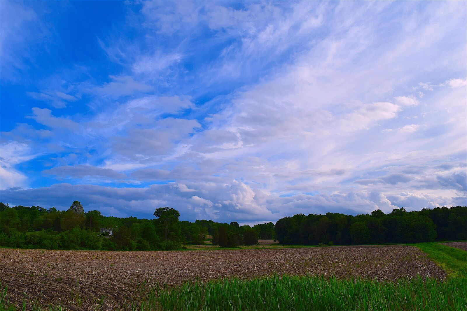 Nikon D3300 sample photo. Field, farm, cloudy sky photography